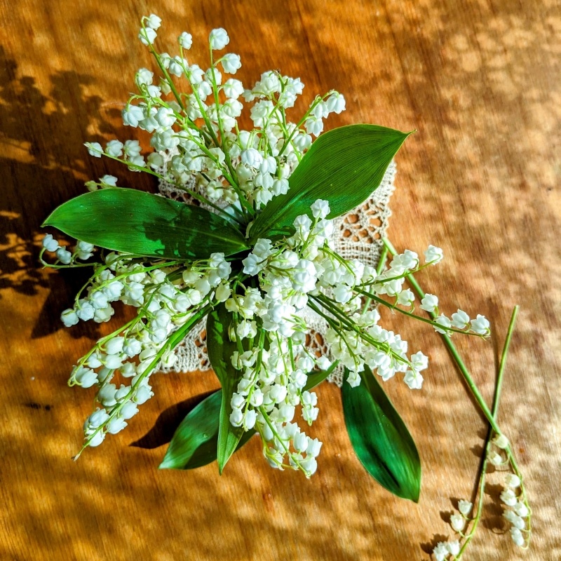 Örngott från lily of the valley-samlingen